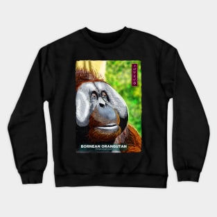 Bornean Orangutan - Black Crewneck Sweatshirt